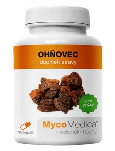 Mycomedica Ohňovec v optimální koncentraci 90 x 500mg