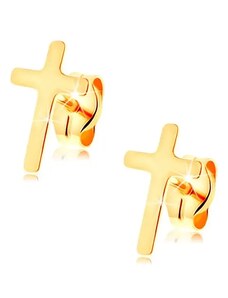Šperky Eshop - Náušnice ve žlutém 14K zlatě - malý latinský křížek, vysoký lesk, puzetky S1GG145.03
