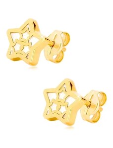 Šperky Eshop - Náušnice ve 14K žlutém zlatě - hvězda s motivem hvězdiček a s perletí GG19.14