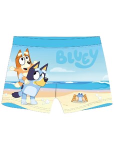 Bluey - licence Chlapecké koupací boxerky - Bluey 5244001, světle modrá