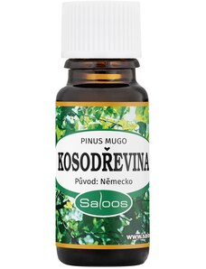 Saloos – esenciální olej Kosodřevina (Pinus mugo)