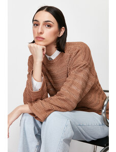Trendyol Brown Openwork/Perforated Knitwear Sweater