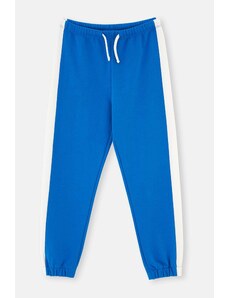 Dagi Sax Blue Stripe Detailed Three Thread Unisex Tracksuit Bottom