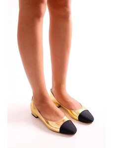 Shoeberry Women's Olidy Gold Gold Bi-tone Oval Toe Flats Gold Gold