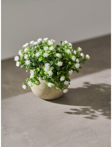 Sinsay - Dekorativní umělá rostlina - bílá