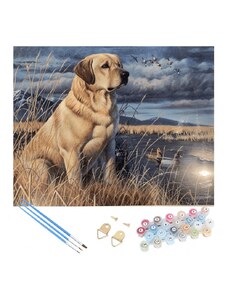 Malování podle čísel 40x50 cm - Labrador