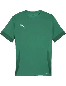 Pánský fotbalový dres Puma teamGOAL Matchday zelený