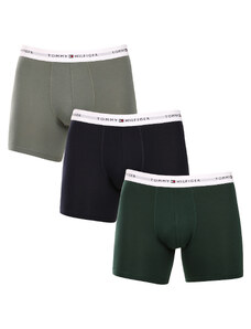 3PACK pánské boxerky Tommy Hilfiger vícebarevné (UM0UM02941 0XY)