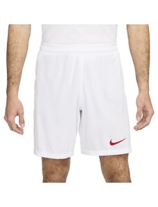 Šortky Nike TUR M NK DF STAD SHORT HM 2024 fv1750-100