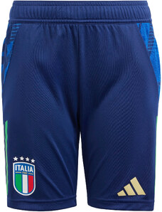 Šortky adidas FIGC TR SHO Y 2024 iq2168