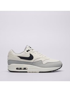 Nike Air Max 1 Muži Boty Tenisky FD9082-002