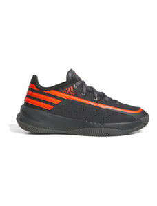adidas Performance adidas FRONT COURT CARBON/GRESIX/SOLRED