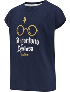 Triko Hummel hmlHARRY POTTER DIEZ T-SHIRT S/S 216645-1009