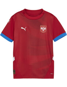 Dres Puma FSS Home Jersey Replica Jr 2024 774091-01