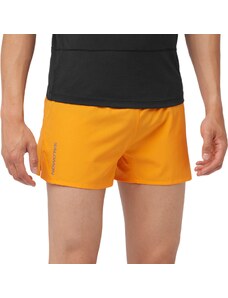 Šortky Salomon CROSS 3 SHORTS M lc2196400