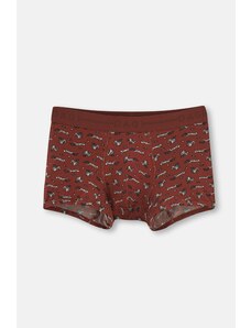 Dagi Tile Patterned Micro Modal Boxer