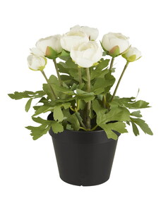 IB LAURSEN Dekorativní umělý pryskyřník White Flowers