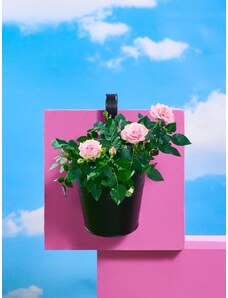 Sinsay - Květináč na zábradlí - černá