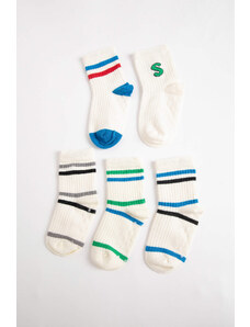 DEFACTO Baby Boy 5 Piece Long sock