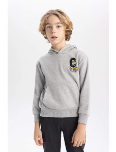 DEFACTO Boy Printed Hooded Thick Sweatshirt