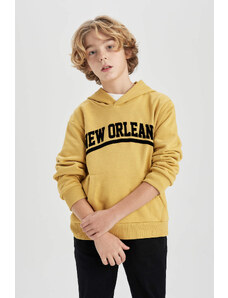 DEFACTO Boy Hooded Thick Sweatshirt Fabric Sweatshirt