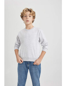 DEFACTO Boy Regular Fit Crew Neck Sweatshirt