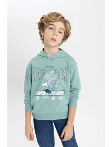 DEFACTO Boy Regular Fit Hooded Sweatshirt