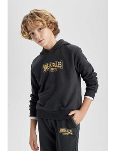 DEFACTO Boy Printed Hooded Thick Sweatshirt