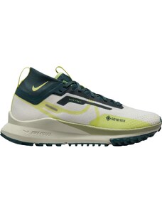 Trailové boty Nike Pegasus Trail 4 GORE-TEX fn7771-100