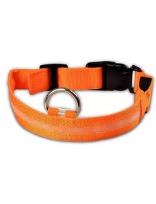 Svítící obojek pro psa s USB nabíjením Oranžová/XS