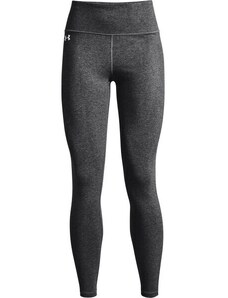 Dámské legíny Under Armour Favorite Legging Hi Rise-GRY L