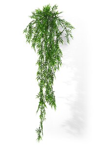bonprix Dekorace Bambus Zelená