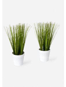 bonprix Umělá rostlina s dekorativními travinami (2 ks v balení) Zelená