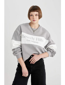 DEFACTO Relax Fit Printed Long Sleeve Sweatshirt