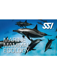 SSI Marine Mammal Ecology - Biologie oceánů - Mořští savci