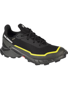 Černé běžecké boty Salomon Alphacross 5 GTX Černá