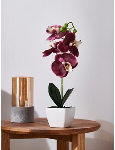 Sinsay - Dekorativní umělá rostlina - fialová