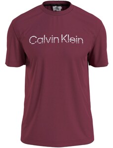 Calvin Klein Tričko 'DEGRADE' bordó / bílá