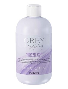 Inebrya Grey By Day Shampoo jemný šampon pro přírodní šedé vlasy 300 ml