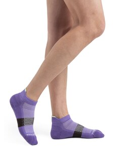 Dámské merino ponožky ICEBREAKER Wmns Multisport Light Micro, Magic/Glazen/Bittersweet velikost: 38-40 (M)