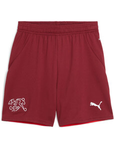 Šortky Puma SFV Shorts Replica Jr 2024 773976-02