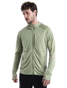 ICEBREAKER Mens Merino 200 Realfleece IB X TNF LS Zip Hoodie, Lichen velikost: L