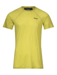 Pánské tričko Bergans Floyen Wool Tee Green