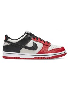 Nike Dunk Low EMB NBA 75th Anniversary Chicago (GS)