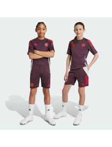 Adidas Tréninkové šortky FC Bayern Tiro 24 Kids