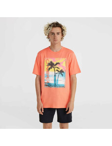 ONeill O'Neill Jack Neon T-Shirt M 92800613602