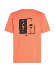 ONeill O'Neill Mix & Match Palm T-Shirt M 92800613905