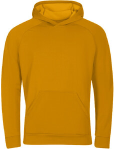 Pánská sportovní mikina PROGRESS Dosser kari