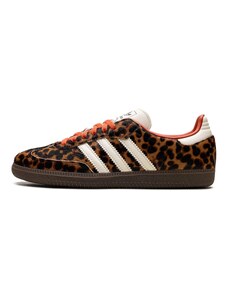 プレデターエリートFT FG 26.5cm スペシャル特典 House adidas 売れ筋がひ！ | Latte Lands