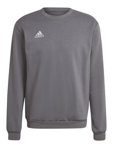 adidas Performance adidas Entrada 22 Sweatshirt TEGRFO